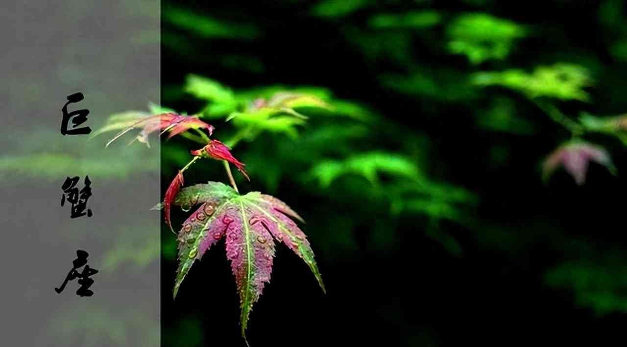 巨蟹座女生性格特点生性格特点，深度解析巨蟹座女：细腻到诗情画意，又难以捉摸的星座女