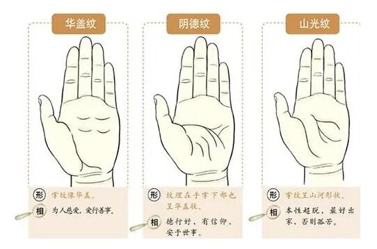 《掌纹相医学系统课》太冲老师主讲