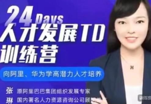 张琳《24天人才发展TD训练营》培养高潜