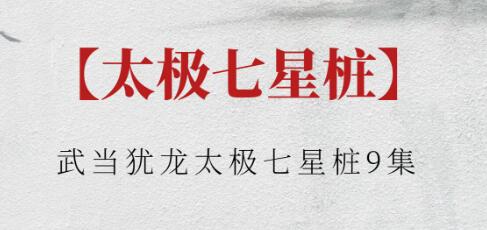 武当犹龙《太极七星桩》视频