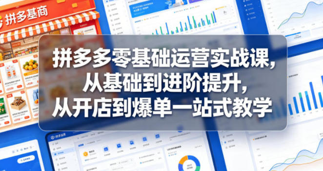 拼多多零基础运营实战课，从基础到进阶提升，从开店到爆单一站式教学